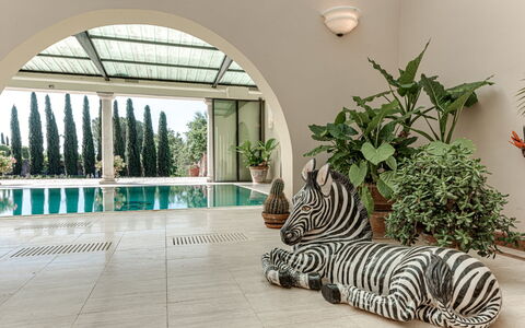 Terrazza e Libreria: Planta, Diseño De Interiores, Edificio, Ventana, Árbol, Arecales, Piso, Madera, Bienes Raíces, Hierba