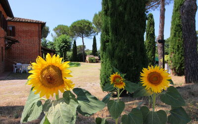 Villa Musarone