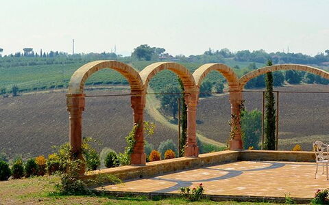 Luna Di Cortona: Arco, Arquitectura, Árbol, Hierba, Puente, El Terreno Del Lote, Paisaje, Puente De Arco, Planta, La Carretera