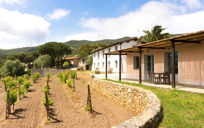 Alojamiento:&nbsp;Monolocale (2+1pax)