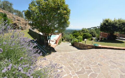 Agli Olivi: Propiedad, Jardín, Árbol, Botánica, Bienes Raíces, Paisaje, Pasarela, Paisajismo, Planta, Casa