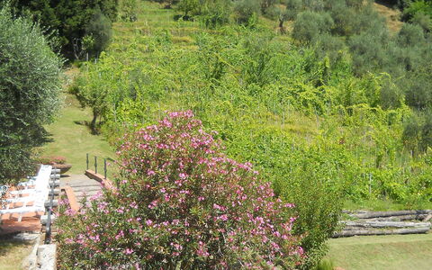 Aurora: Vegetación, Jardín, Árbol, Jardín Botánico, Botánica, Planta, Arbusto, Planta De La Comunidad, Paisaje, Flor