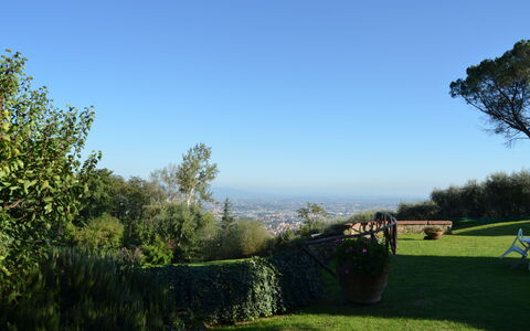 Aurora: Cielo, Verde, Árbol, Hierba, Mañana, Nube, Área Rural, Hoja, Familia De Las Gramíneas, El Terreno Del Lote
