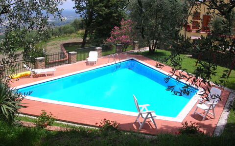 Aurora: Piscina, Propiedad, Ocio, Hierba, Casa, Bienes Raíces, Patio Interior, Rectángulo, Edificio, Yarda