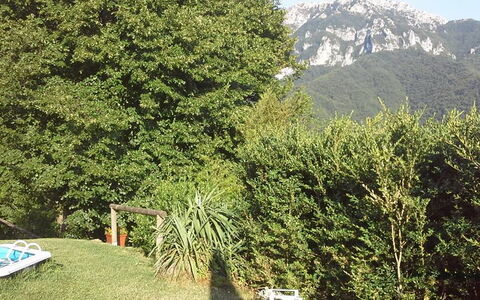 Emilia: Planta, Montaña, Paisaje Natural, Árbol, Vegetación, Biome, Hojas Perennes, Hierba, Plantas Leñosas, Cobertura Del Suelo