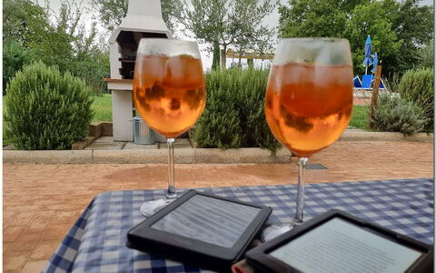 Villetta Di Cortona: Vajilla, Planta, Drinkware, Mesa, Stemware, Barware, Árbol, Naranja, Silla