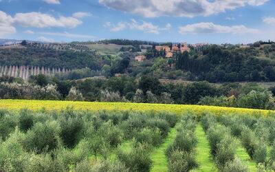 Villa Falecine