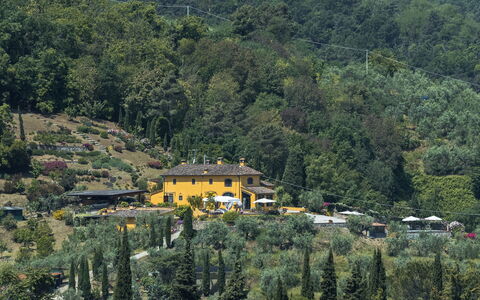 Villa Solaria: Hill Station, Vegetación, Pueblo De Montaña, Árbol, Colina, Área Rural, Pueblo, Casa, Bosque, Montaña