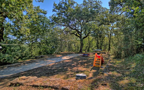Sole Nel Prato: Árbol, Vegetación, Entorno Natural, Paisaje Natural, Desierto, Reserva Natural, Bosque, Hierba, Biome, Plantas Leñosas