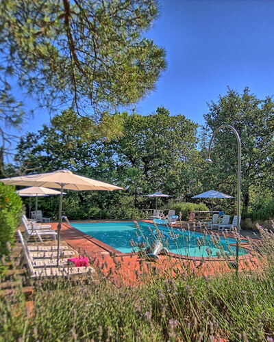 Sole Nel Prato: Propiedad, Bienes Raíces, Árbol, Reserva Natural, Cielo, Botánica, Casa, Piscina, Ocio, Jardín