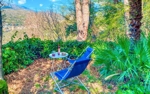 Olivi Del Mesco - Levanto: Vegetación, Majorelle Azul, Árbol, Biome, Paisaje Natural, Bosque, Reserva Natural, Planta, Selva, Planta Terrestre