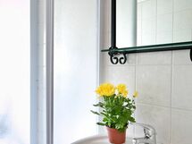 Alojamiento:&nbsp;Luigi