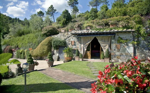 Al Mennucci: Jardín, Propiedad, Paisaje Natural, Jardín Botánico, Edificio, Yarda, Casa, Inmuebles, Paisajismo, Botánica