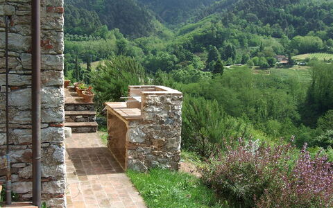 Bottino: Pared, Paisaje Natural, Pared De Piedra, Paisaje, Árbol, Klippe, Área Rural, Hierba, Planta De La Comunidad, Planta