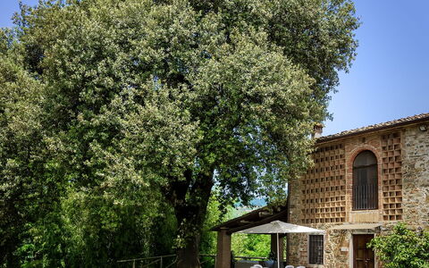 Casa Tonio: Árbol, Propiedad, Plantas Leñosas, Planta, Casa, Primavera, Arquitectura, Hierba, Arbusto, Edificio