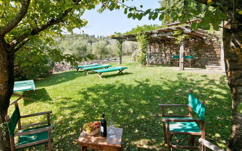 Casavecchia: Planta, Verde, Sombra, Árbol, Botánica, Mueble Para Exteriores, Vegetación, Paisaje Natural, Hierba, Biome