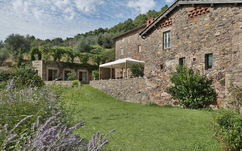 Chiodo: Propiedad, Casa, Paisaje Natural, Cabaña, Edificio, Hierba, Área Rural, Pared, Casa De Campo, Familia De Las Gramíneas