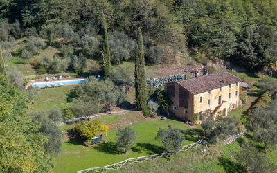 Damiano