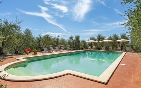 La Fonte: Jardín, Hacienda, Paisajismo, Inmuebles, Piscina, Yarda, Villa, Recurso, Eco Hotel, Patio Interior