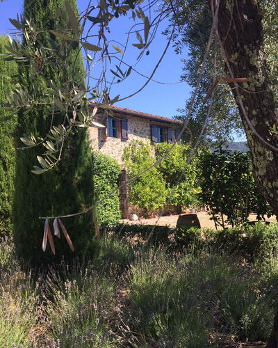 Macennere: Vegetación, Propiedad, Árbol, Casa, Cielo, Edificio, Arbusto, Familia De Las Gramíneas, Área Rural, Arquitectura