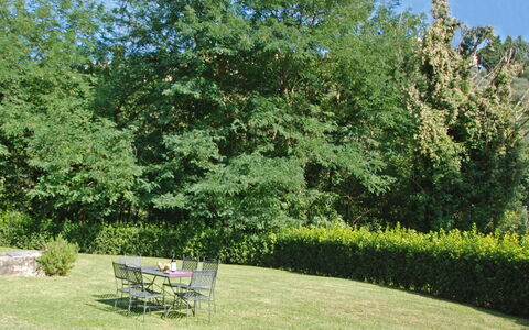 Magrini: Árbol, Jardín, Propiedad, Paisaje Natural, Hierba, Arbusto, Planta, Plantas Leñosas, Botánica, Césped