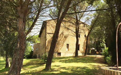 Malmantile: Árbol, Hierba, Plantas Leñosas, Arquitectura, Luz De Sol, Edificio, Planta, Primavera, Casa, Bosque