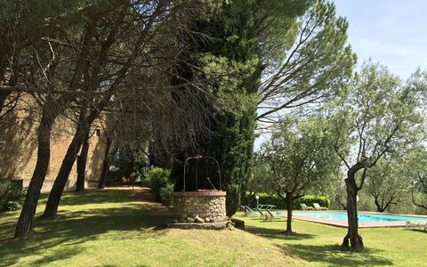 Malmantile: Árbol, Naturaleza, Paisaje Natural, Hierba, Entorno Natural, Tiempo De Día, Plantas Leñosas, Cielo, Planta, Primavera