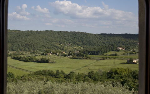 Ricavoli: Vegetación, Ventana, Hierba, Planta De La Comunidad, Cielo, Familia De Las Gramíneas, Árbol, Llanura, Ecorregión, Área Rural