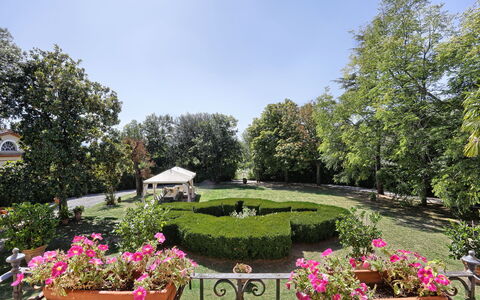 Villa Clara 20: Jardín, Propiedad, Jardín Botánico, Botánica, Bienes Raíces, Inmuebles, Planta, Árbol, Yarda, Flor