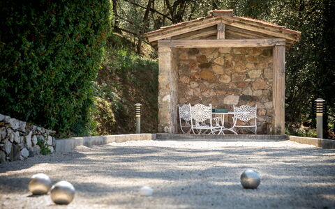 Villa Igea 13: Planta, Naturaleza, Madera, Árbol, Hierba, Superficie De La Carretera, Luz De Sol, Biome, El Maletero, Espacio Publico