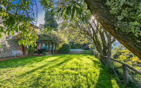 Belvedere: Planta, Paisaje Natural, Rama, Árbol, Sombra, Hierba, Cobertura Del Suelo, Ocio, El Maletero