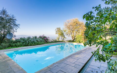 Belvedere: Agua, Cielo, Planta, Piscina, Azur, Árbol, Cuerpo De Agua, Paisaje Natural, Hierba, Ocio
