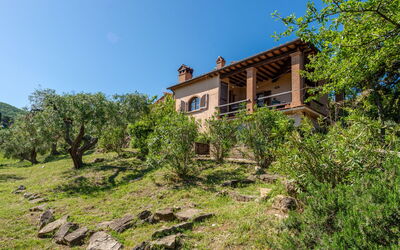 La Limonaia