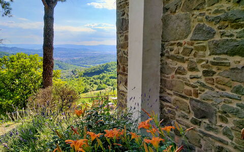 Villa Fusai: Naturaleza, Vegetación, Flor, Planta, Árbol, Hoja, Pared, Flor Silvestre, Hierba, Botánica