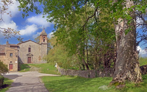 Casa Di Lilli: Hierba, Paisaje, Pradera, Área Rural, Prado, Pasto, Castillo, Monasterio