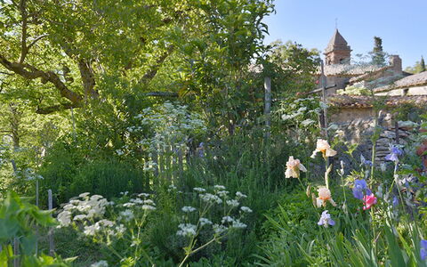 Casa Di Giulio: Flor, Vegetación, Arbusto, Jardín, Planta De La Comunidad, Primavera, Cobertura Del Suelo, Flor Silvestre, Planta Herbácea, Paisajismo