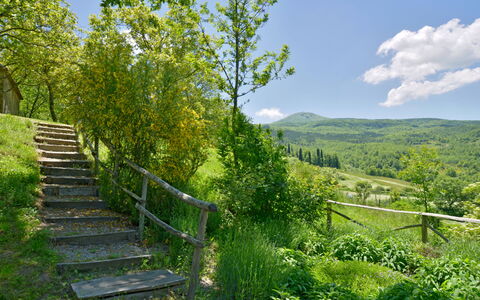 Casa Dell'ambasciatore: Verde, Naturaleza, Entorno Natural, Paisaje Natural, Accidentes Geográficos Montañosas, Vegetación, Colina, Arbusto, Verano, Paisaje