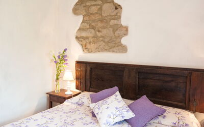 Alojamiento:&nbsp;Tabaccaia