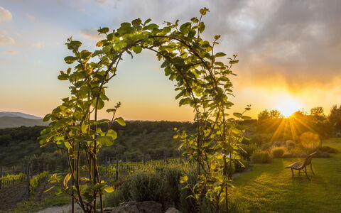 Sequerciani: Naturaleza, Árbol, Cielo, Paisaje Natural, Mañana, Biome, Planta, Luz De Sol, Paisaje, Arco