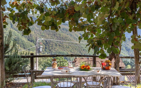 Casa Alice: Árbol, Mesa, Hoja, Ocio, Mueble, Vacaciones, Casa, Bienes Raíces, Comida, Planta