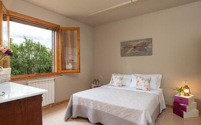 Alojamiento:&nbsp;Tulipano