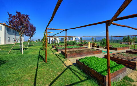Il Sole Di Vino: Bienes Raíces, Hierba, Cielo, Árbol, Arquitectura, Casa, El Terreno Del Lote, Área Rural, Paisaje, Planta