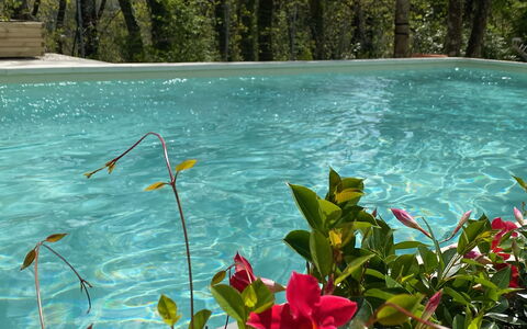 Villa La Casa Bianca: Agua, Flor, Planta, Planta De La Comunidad, Verde, Paisaje Natural, Planta Terrestre, Vegetación, Pétalo, Corriente De Agua