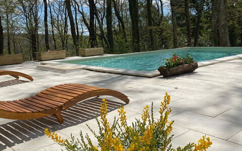 Villa La Casa Bianca: Flor, Planta, Cielo, Hoja, Paisaje Natural, Vegetación, Árbol, Amarillo, Hierba, Plantas Leñosas