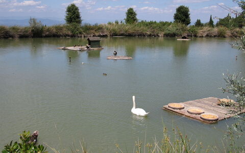 La Rimessa: Cuerpo De Agua, Los Recursos Hídricos, Paisaje Natural, Agua, Estanque, Banco, Reservorio, Reserva Natural, Lago
