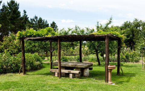 Casale Vacanze Il Granaio: Verde, Reserva Natural, Árbol, Botánica, Hierba, Jardín, Pabellón, Mesa, Familia De Las Gramíneas, Primavera