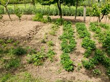 Casale Vacanze Il Granaio