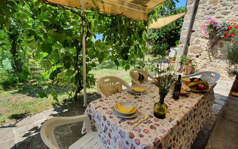 La Casa Del Sole: Planta, Propiedad, Mesa, Botánica, Naturaleza, Flor, Paisaje, Silla, Mueble Para Exteriores, Planta Terrestre