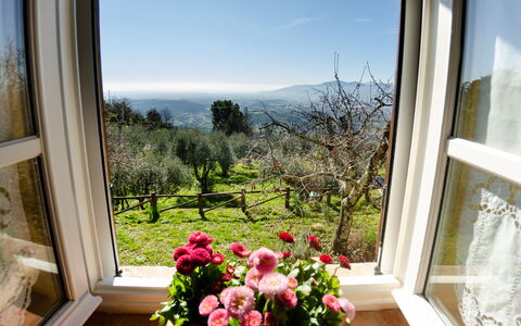 La Casa Del Sole: Propiedad, Habitación, Ventana, Casa, Casa, Flor, Edificio, Planta, Diseño De Interiores, Bienes Raíces