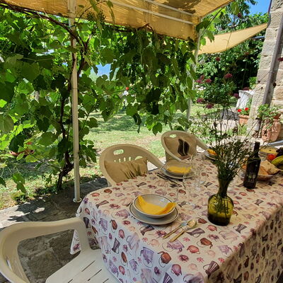 La Casa Del Sole: Planta, Propiedad, Mesa, Botánica, Naturaleza, Flor, Paisaje, Silla, Mueble Para Exteriores, Planta Terrestre